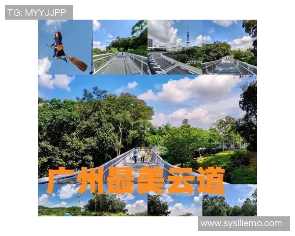 越秀山体育场周边美食与休闲活动全攻略尽享广州城市魅力