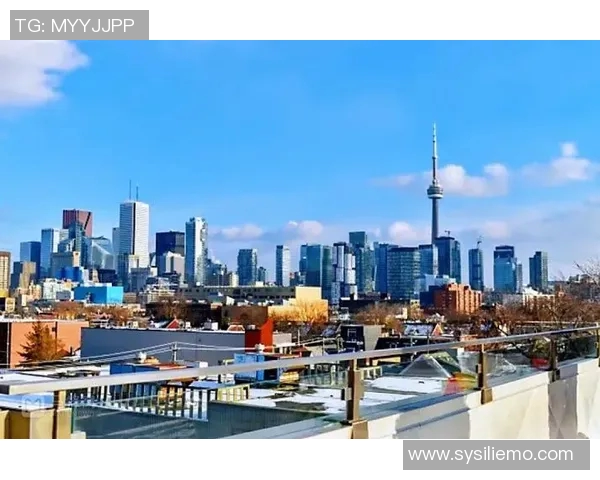 多伦多与纽约的城市魅力对比探讨与生活体验分享