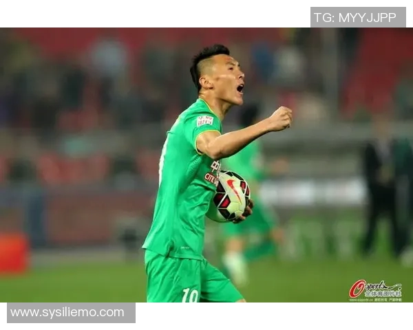 辽宁与北京激战17日精彩录像回放全程回顾与分析