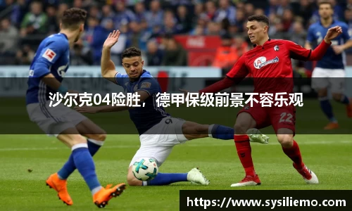 沙尔克04险胜，德甲保级前景不容乐观